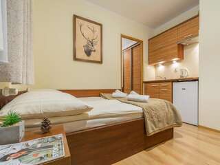Отели типа «постель и завтрак» Willa Pod Kozińcem Чарна-Гура Люкс с 1 спальней с видом на горы-1